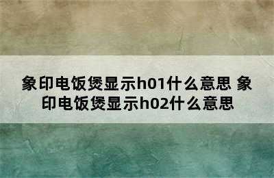 象印电饭煲显示h01什么意思 象印电饭煲显示h02什么意思